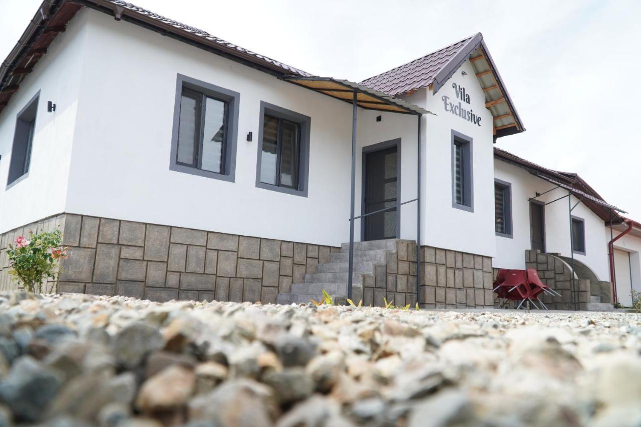 Vila Exclusive Târgu Jiu Exterior foto
